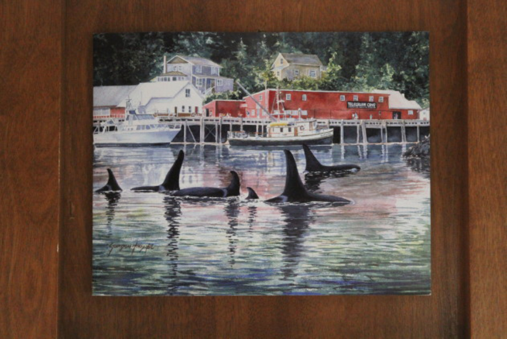 Orca at Telegraph Cove, BC