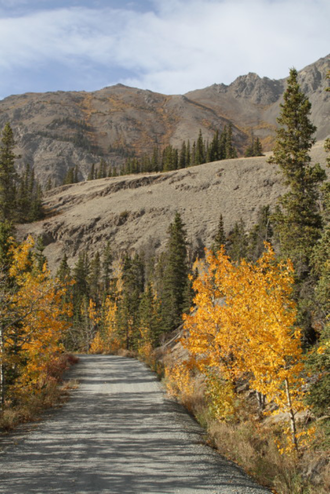  Fall colours at Sheep Mountain, Yukon