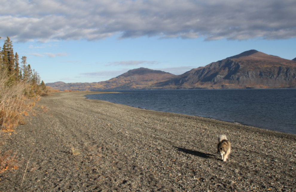 Huge beach on Kluane Lake, Yukon