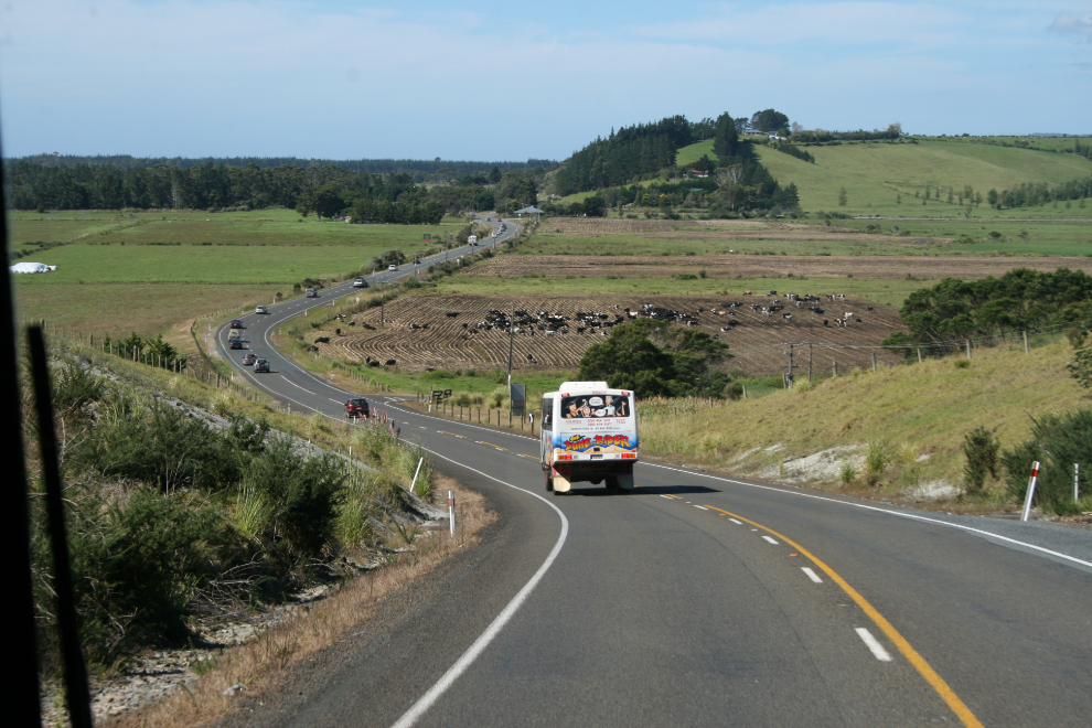 Bus tour to Cape Reinga, New Zealand