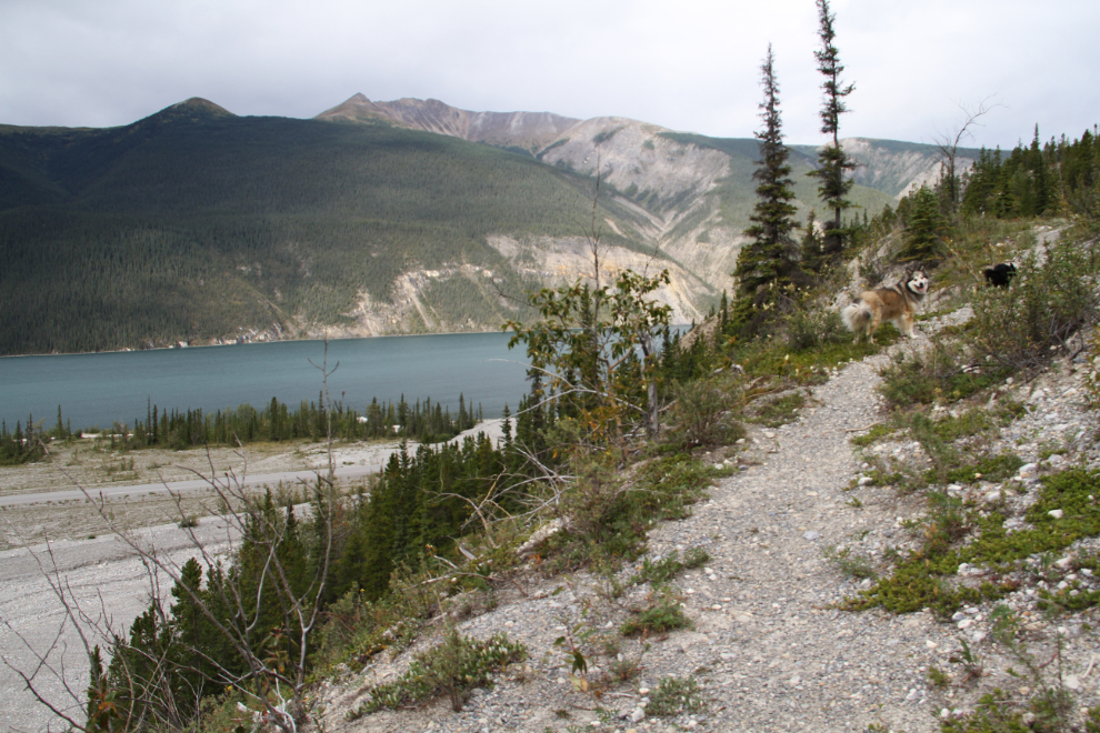 Old Alaska Highway Trail, Muncho Lake Provincial Park, BC