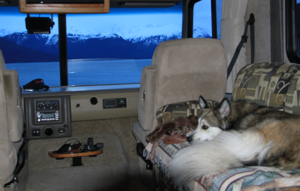 Our dog Bella in the RV at Haines, Alaska
