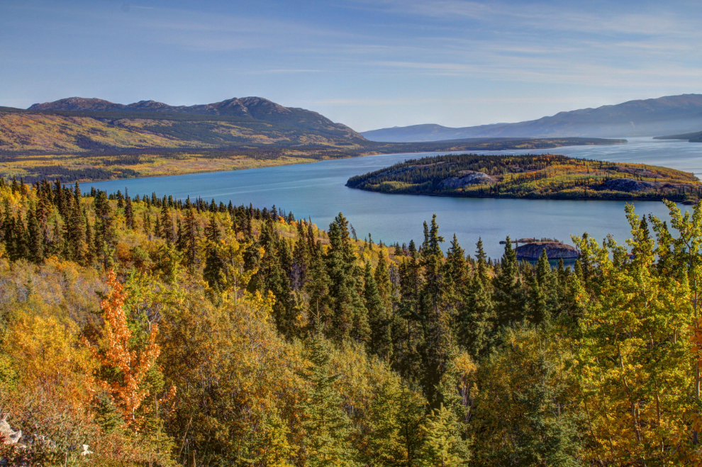 Fall colous at Bove Island on the South Klondike Highway