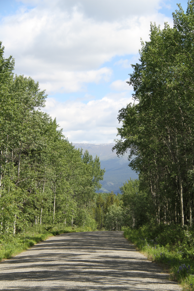 Access road to Boya Lake Provincial Park
