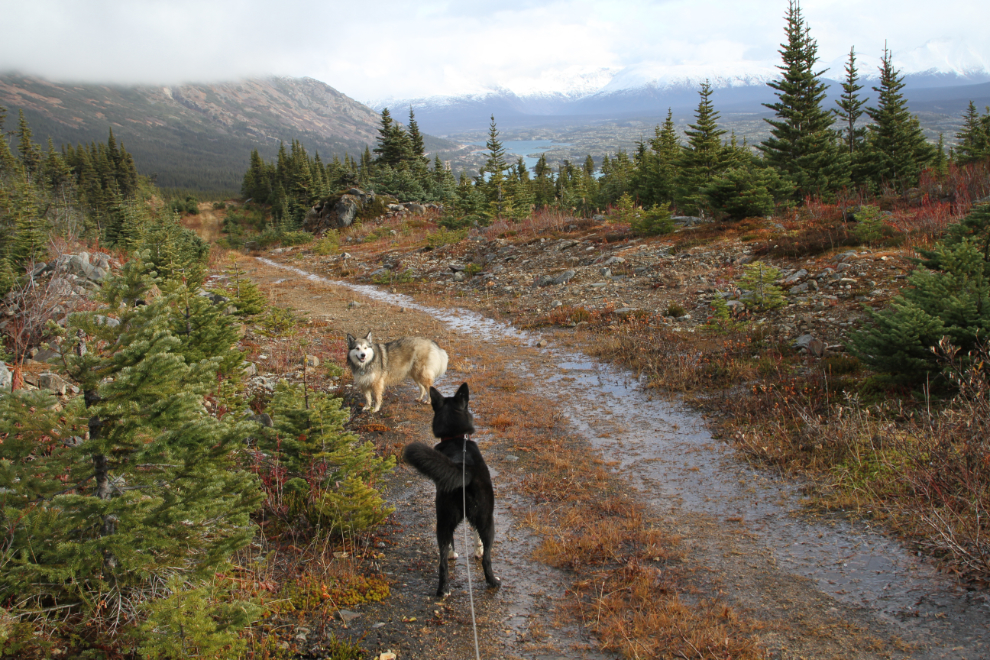 The trail from Bryant Lake, BC