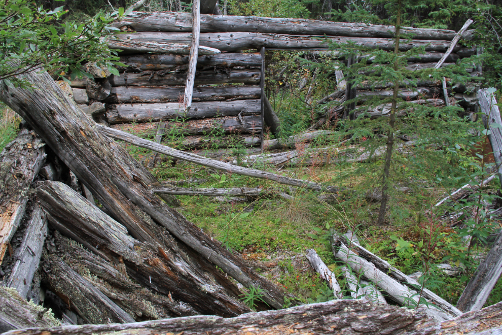 Logging camp stables from 1905-1906