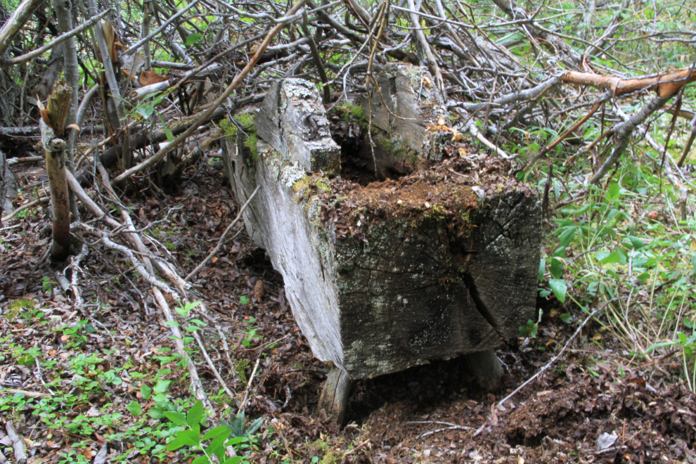 Tool-sharpening wheel at a century-old logging camp on the BC/Yukon border