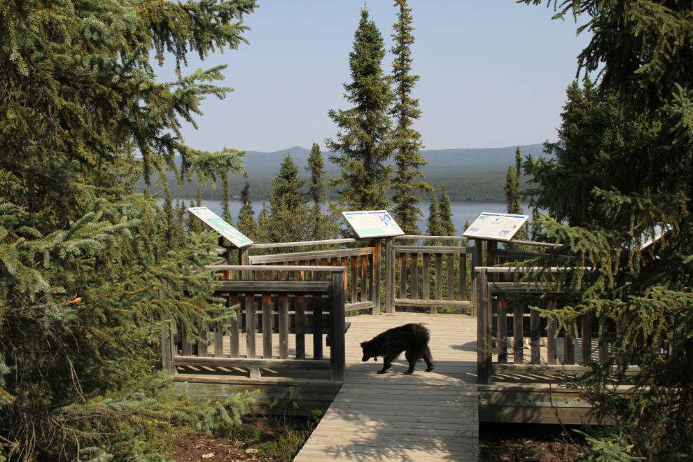 Finlayson Lake rest area on the Robert Campbell Highway, Yukon