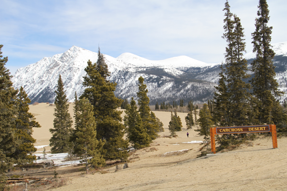 The Carcross Desert