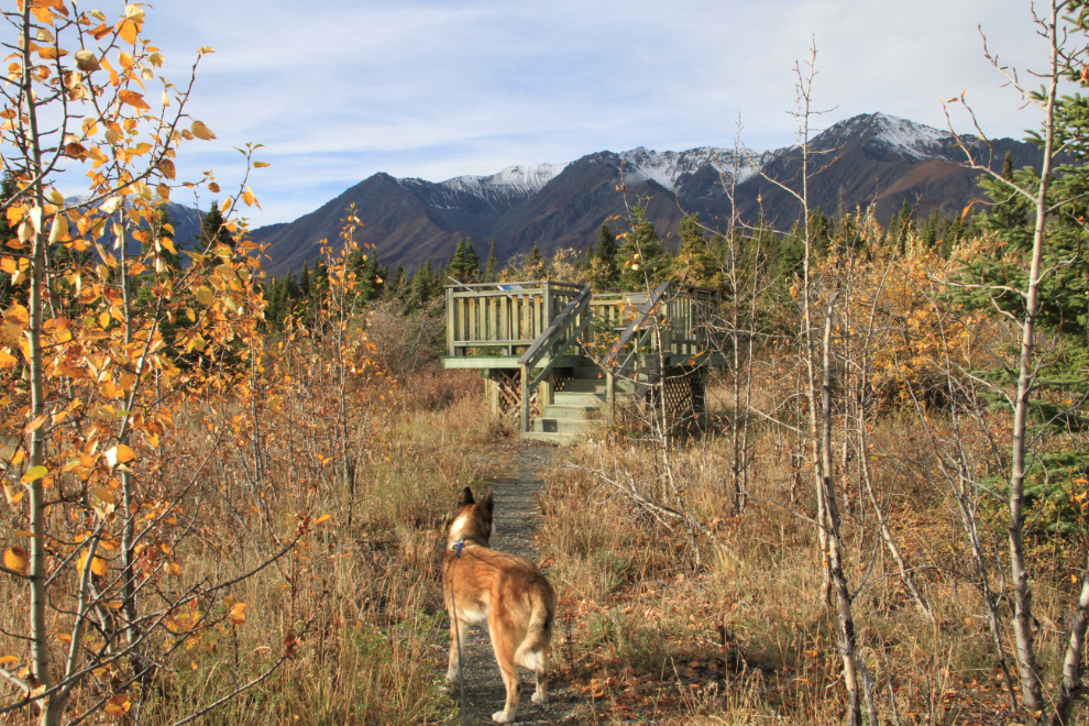 Viewing deck at Congdon Creek Campground, Yukon