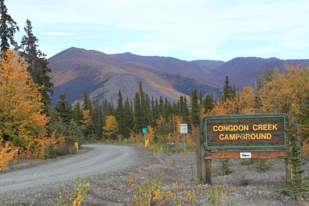 Firewood at Congdon Creek Campground, Yukon