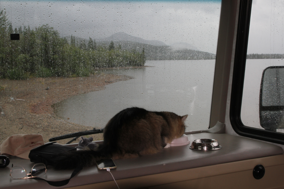 A rainy morning at Drury Creek Campground - Little Salmon Lake, Yukon