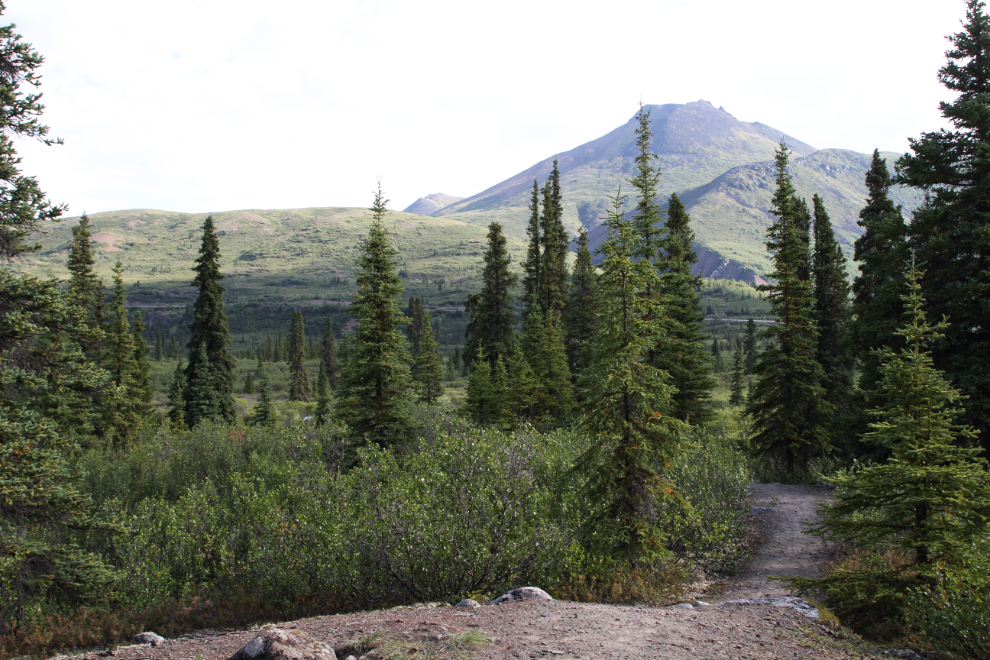 Edge of the Arctic Interpretive Trail, Tombstone Territorial Park