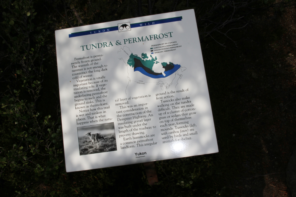 Tundra and permafrost interpretive panel on the Edge of the Arctic Interpretive Trail, Tombstone Territorial Park
