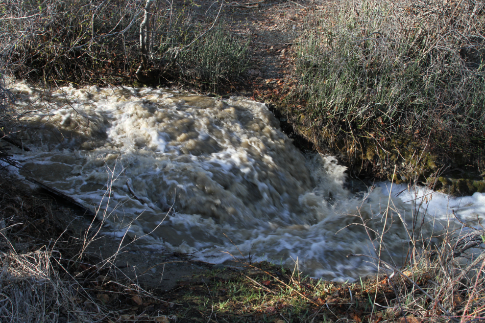 Spring runoff creek at Pothole Ranch