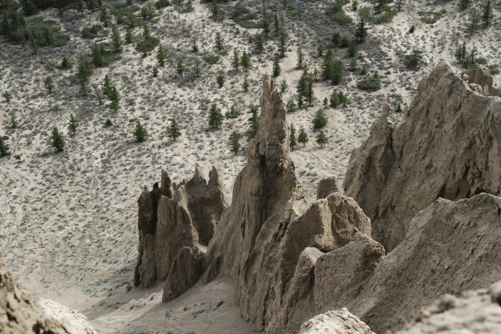 Looking pretty much straight down at some of the Farwell Canyon hoodoos