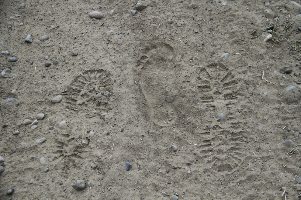 Footprints in the dirt at Farwell Canyon, BC