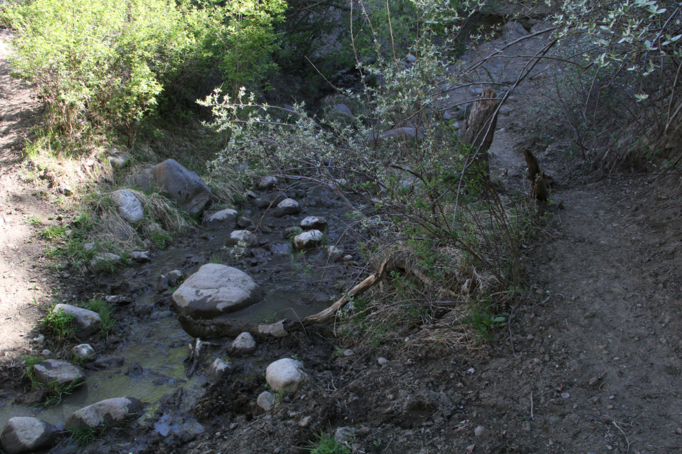 A shaded little creek in Cariboo cattle country