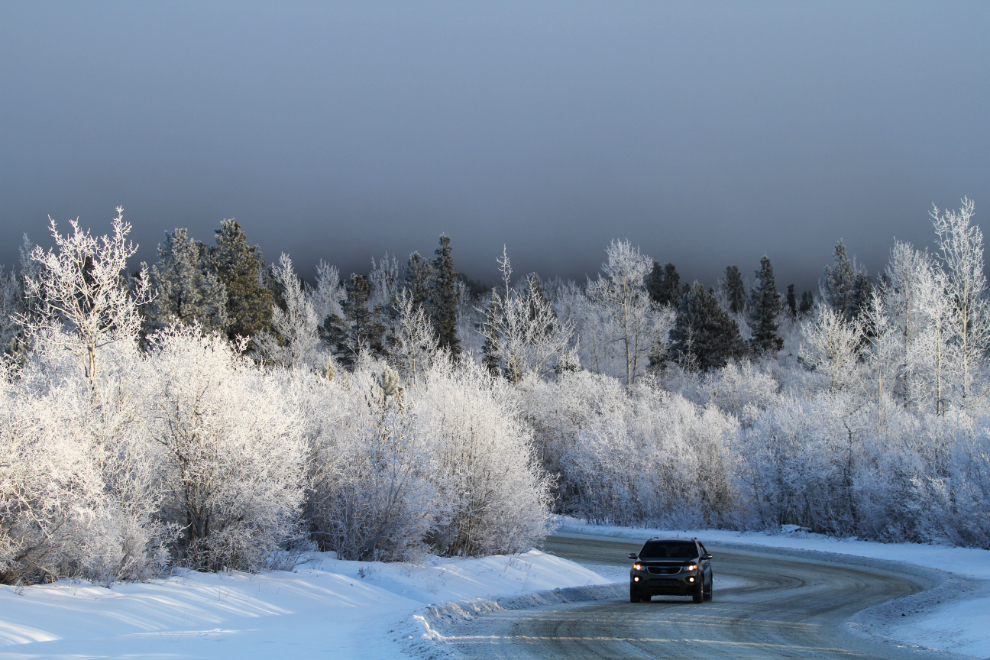 A warm and foggy winter in Whitehorse, Yukon