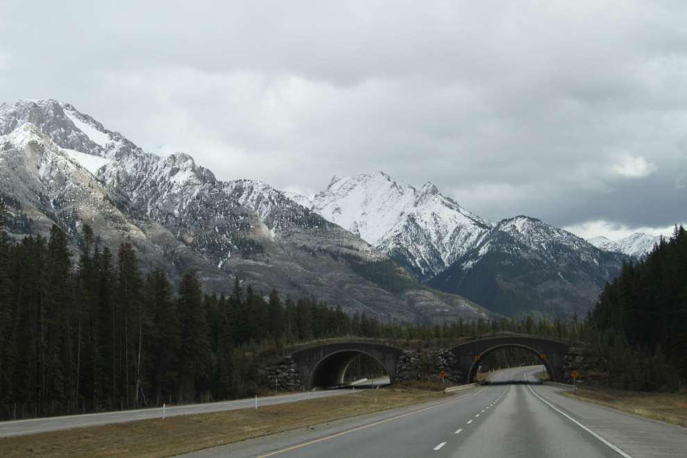 Highway 1 east of Canmore, Alberta