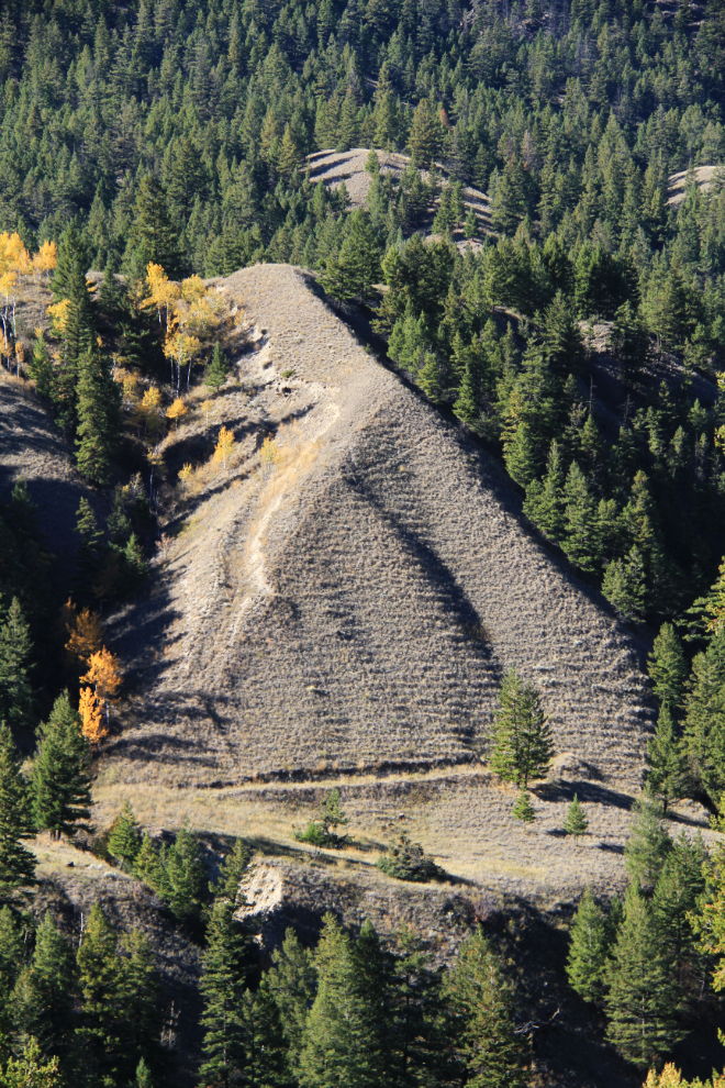 BC's Interior Douglas Fir Biogeoclimatic Zone