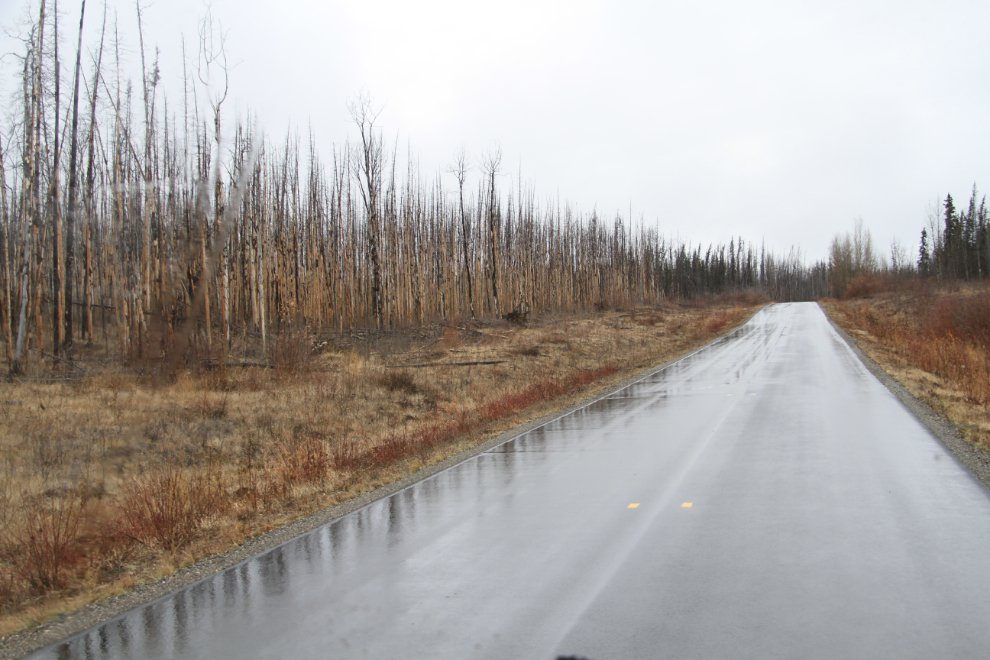 New pavement toward the north end of BC Hwy 37