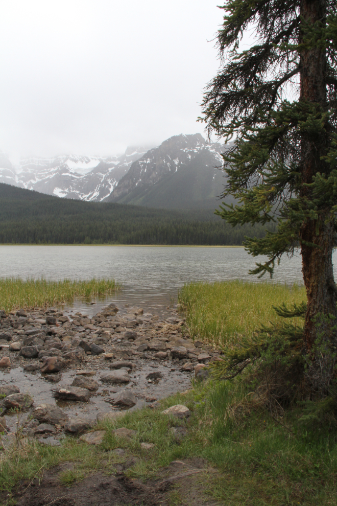Lake along the Icefields Parkway
