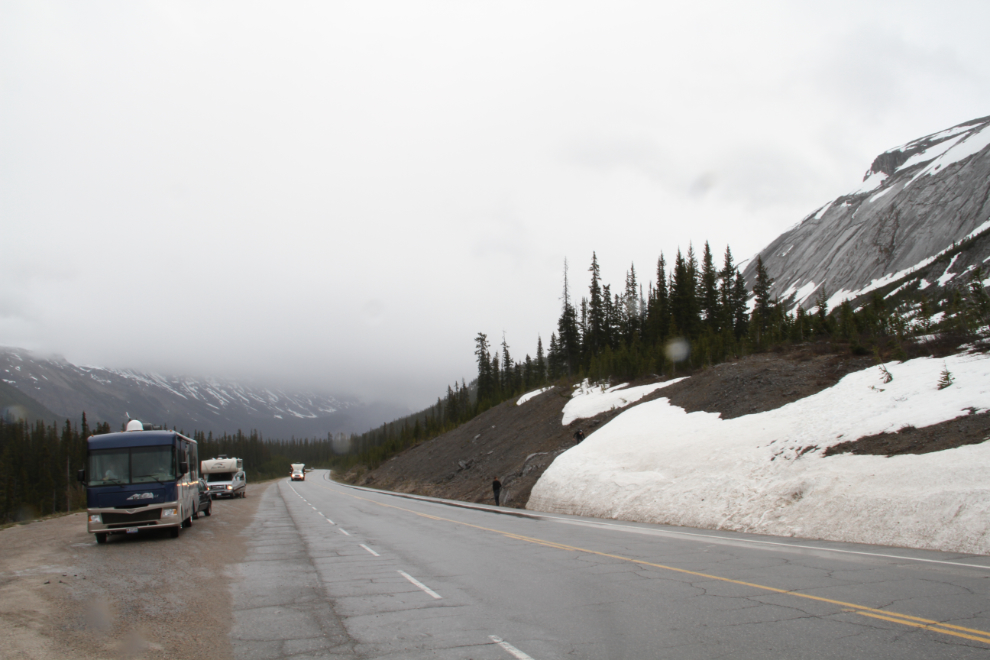 Snow in June near the summit of Sunwapta Pass on the Icefields Parkway