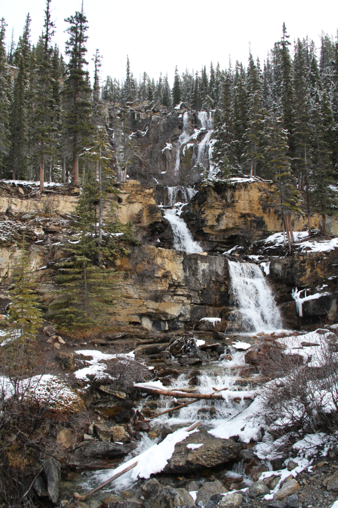 Tangle Creek Falls, Icefields Parkway