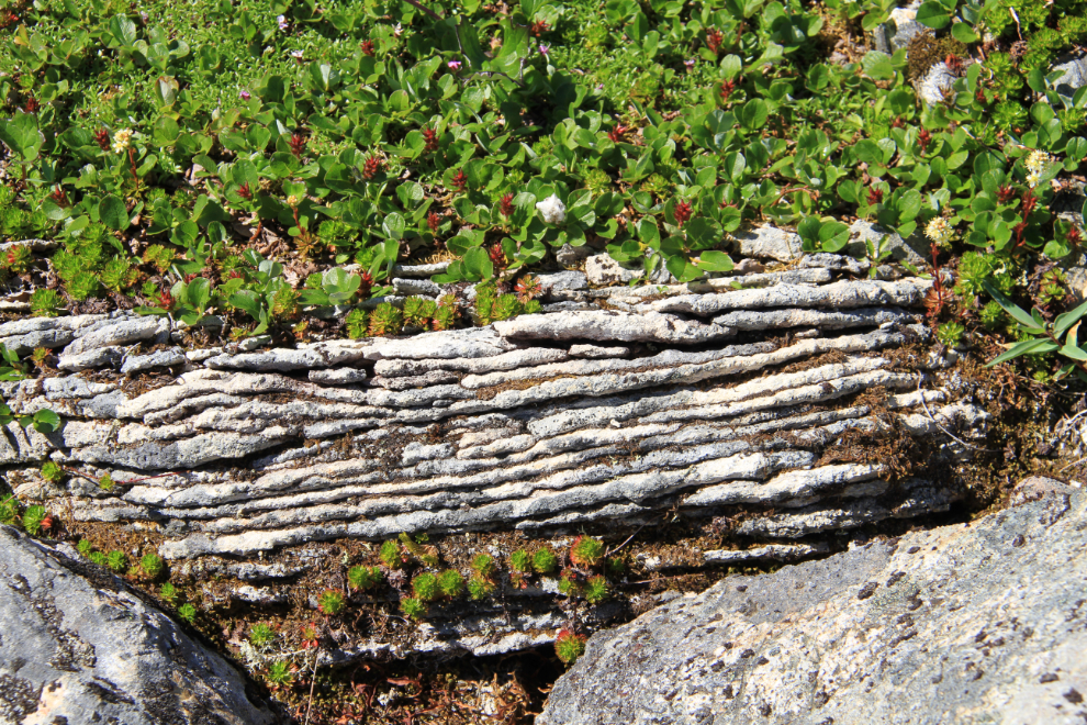 Rocks seen while Hiking along the BC / Alaska border