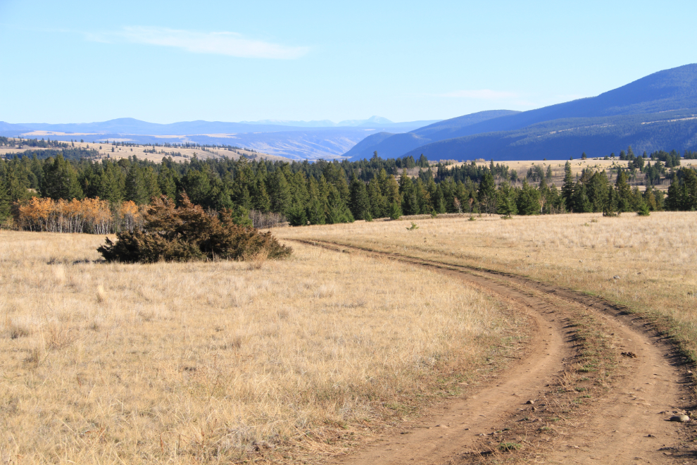 The road to Junction Sheep Range Provincial Park in BC