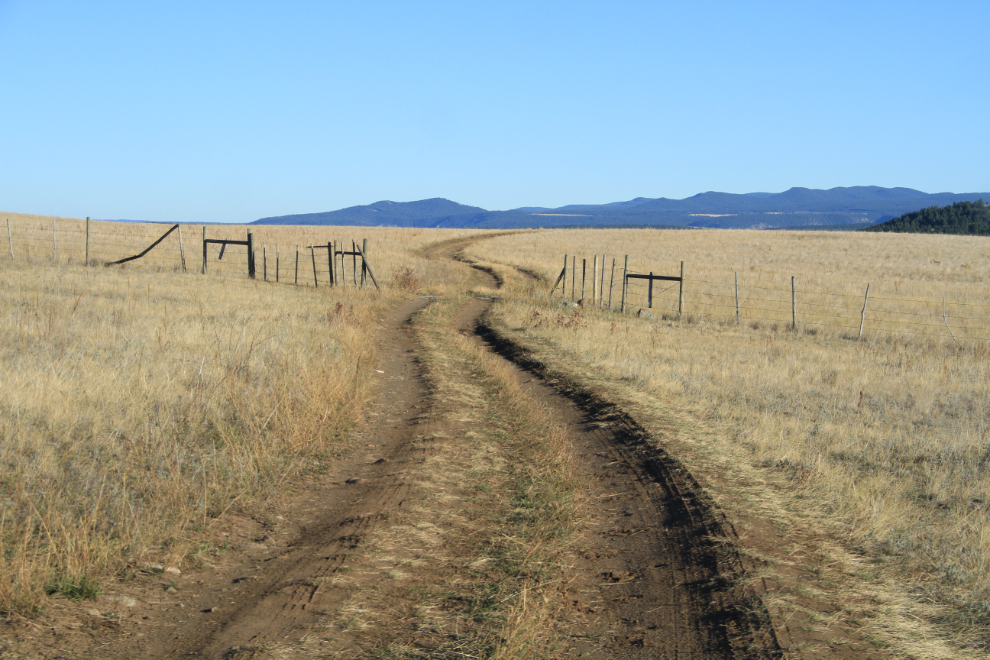 The road to BC's Junction Sheep Range Provincial Park