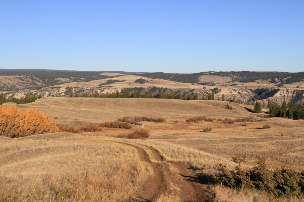  BC's Junction Sheep Range Provincial Park