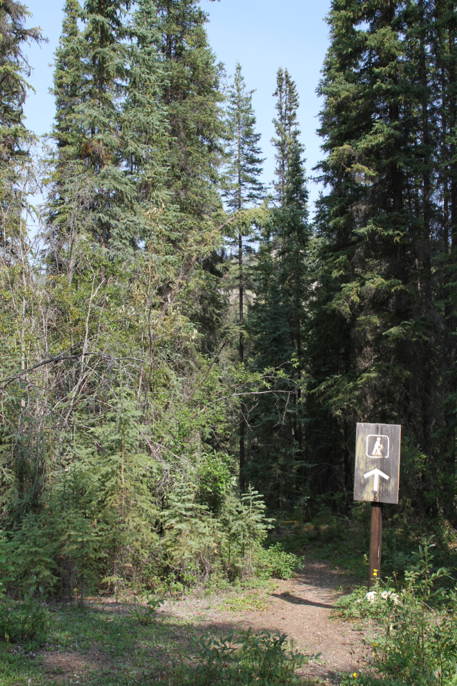Trail at Lapie Canyon Campground, Yukon