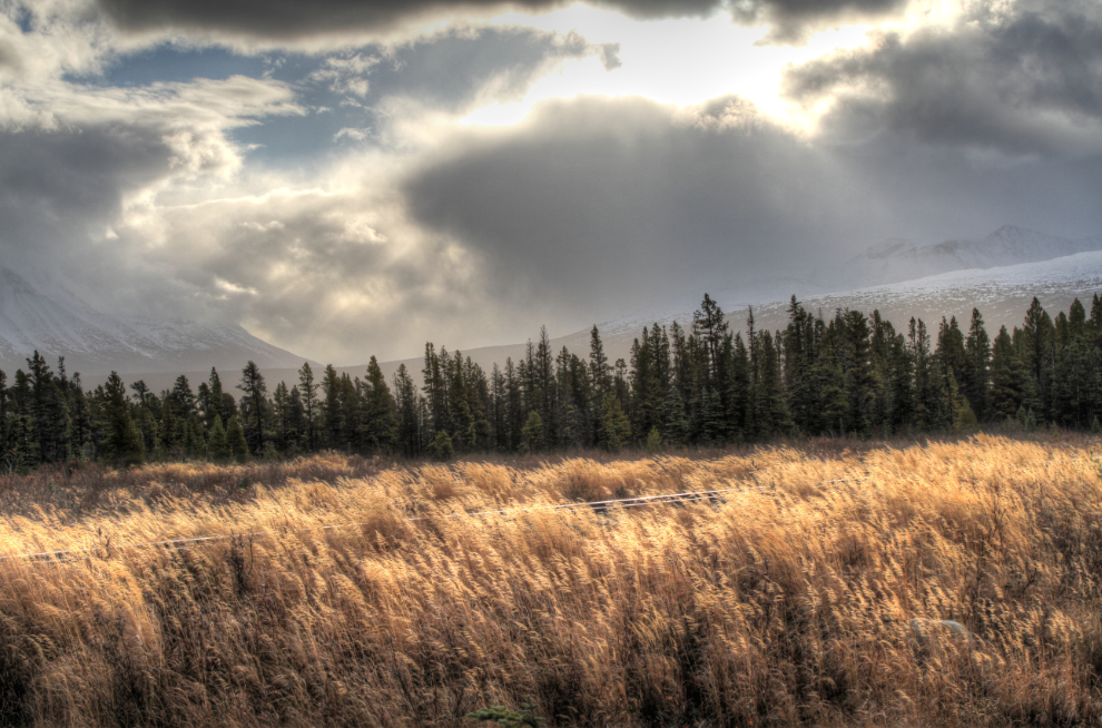 Late Fall light at Log Cabin on the South Klondike Highway, BC