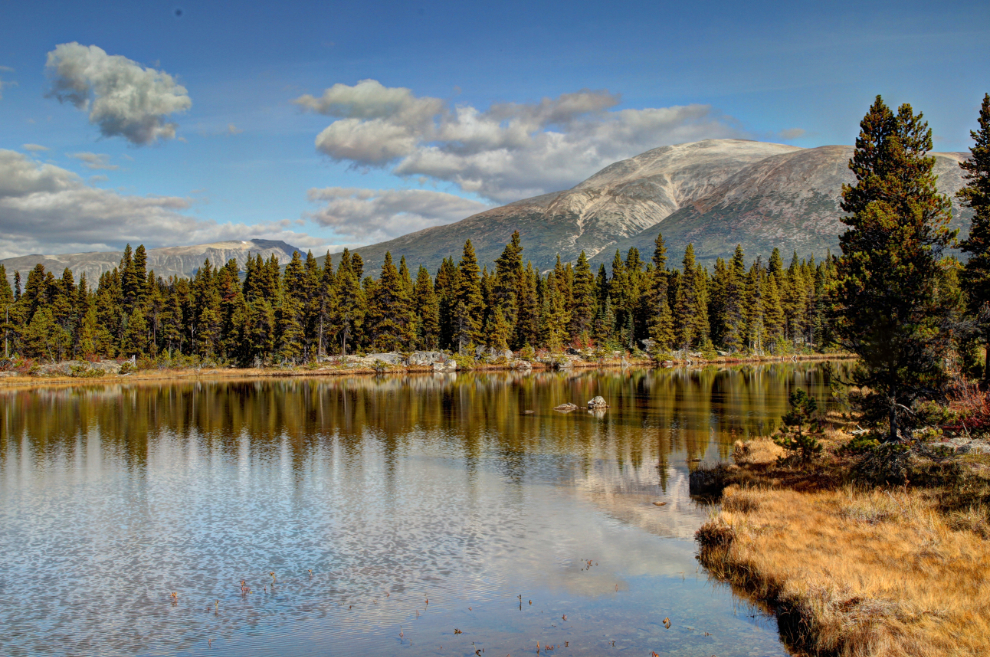 A small lake along the South Klondike Highway