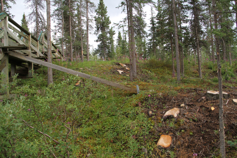 Logging at Million Dollar Falls Campground, Yukon