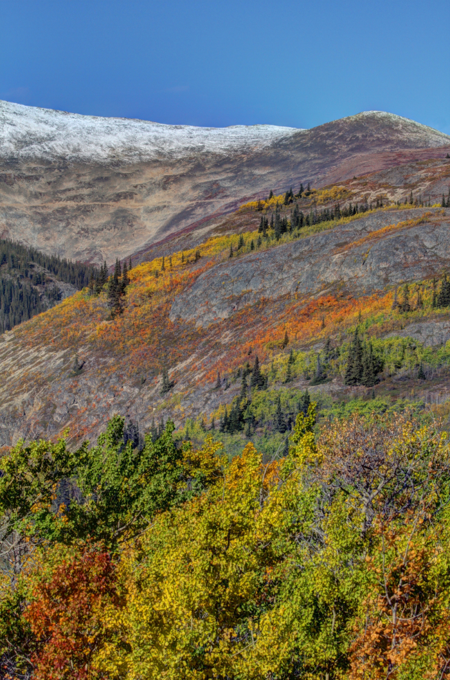 The changing seasons in the Yukon in September - looking up Montana Mountain to Fall and Winter from Conrad