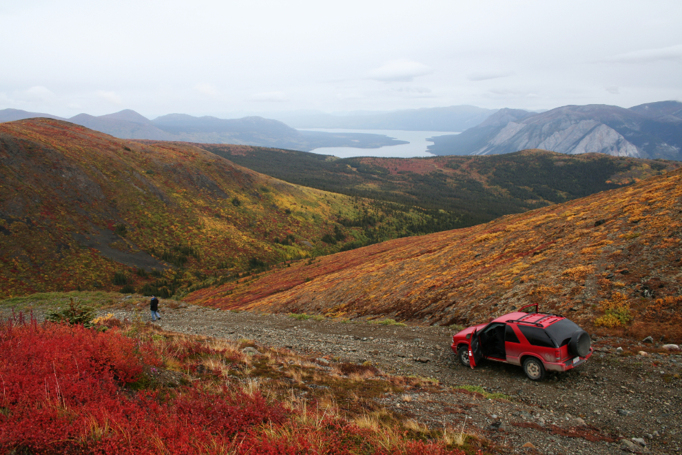 Fall colours on Montana Mountain, Yukon