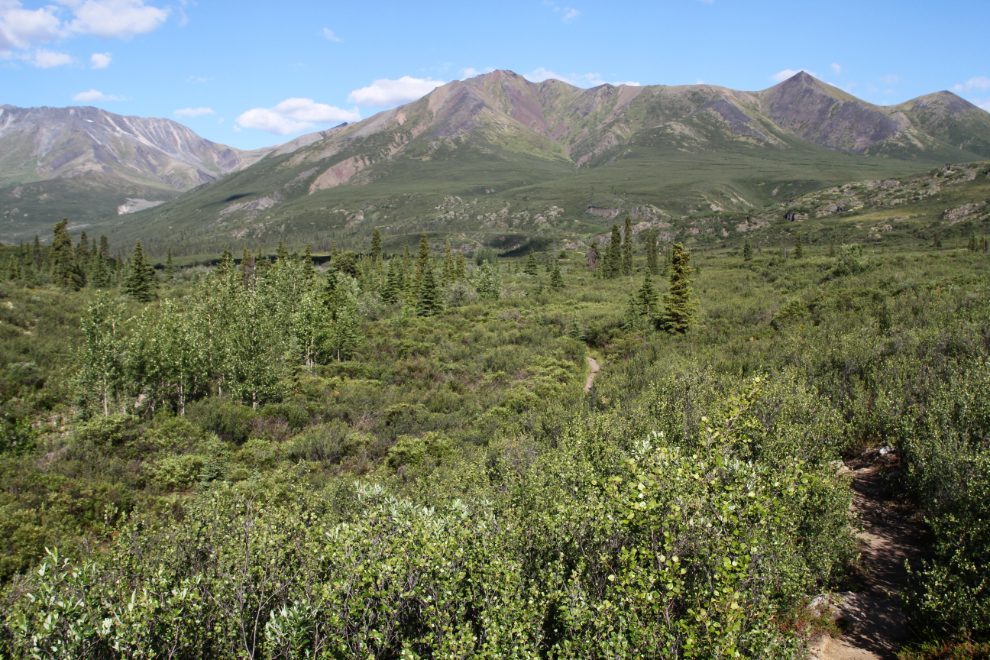 The North Klondike River Trail, Tombstone Territorial Park