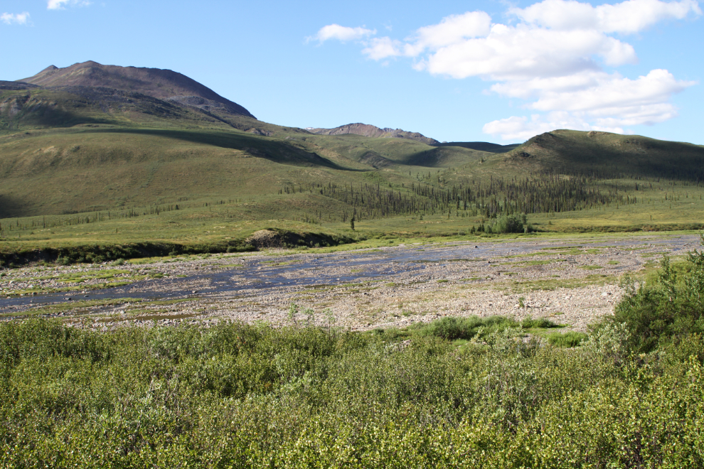 The North Klondike River Trail, Tombstone Territorial Park