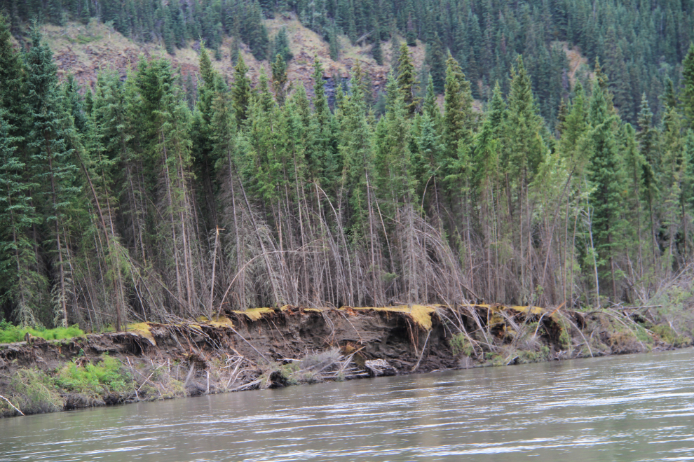 Pelly River, Yukon