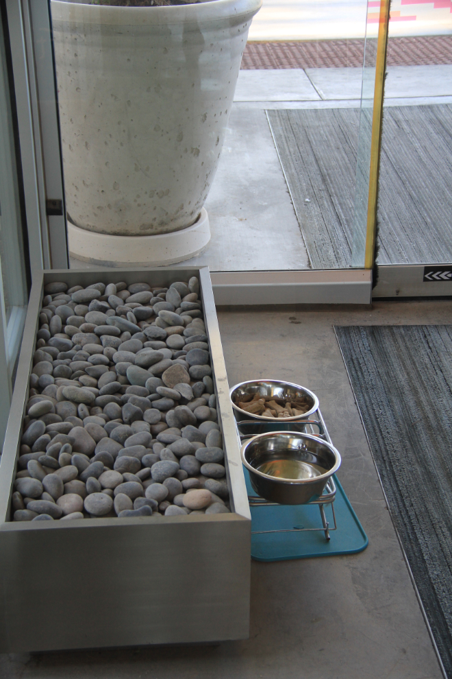Dog bowls at the Aloft Phoenix Airport Hotel