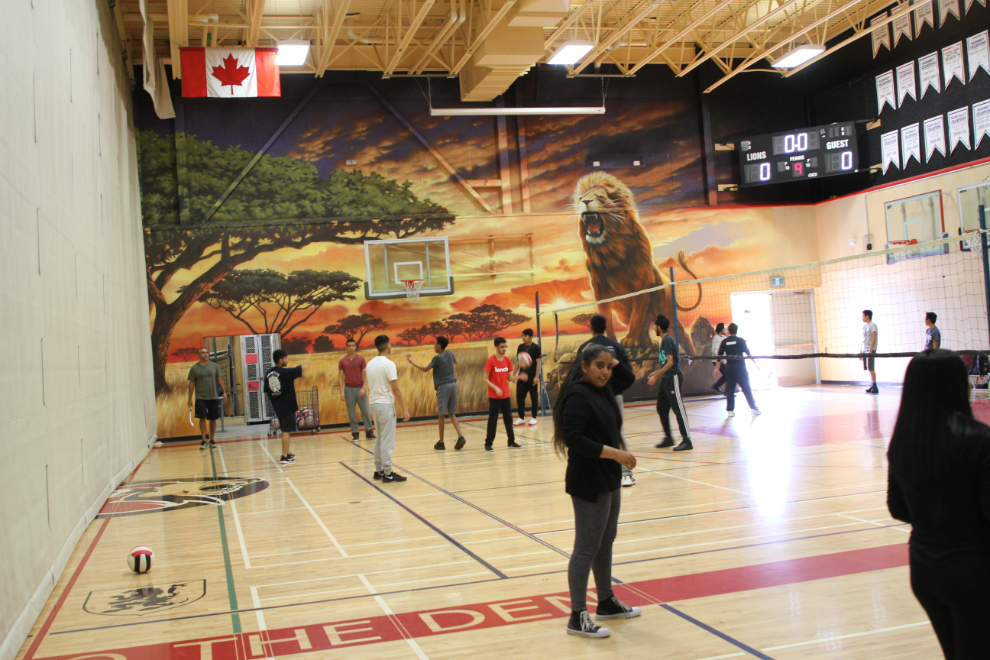 Lion mural in the gym at Princess Margaret Senior Secondary School in Surrey, BC