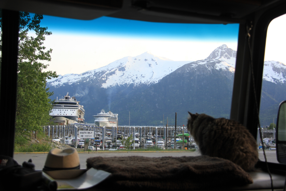 Cat in an RV window at Skagway, Alaska