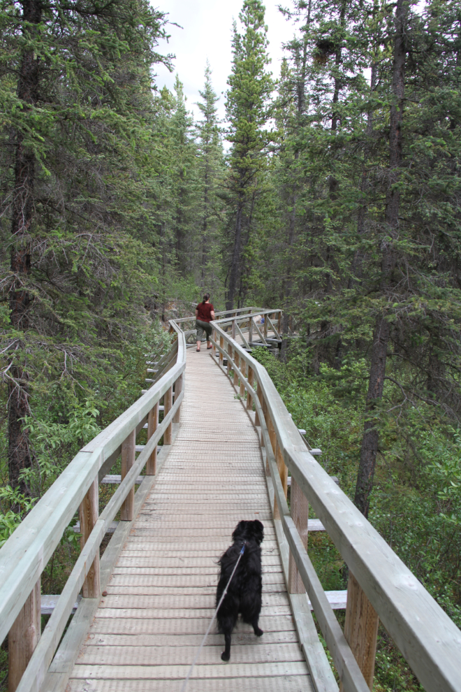 Rancheria Falls, a Yukon Recreation Site