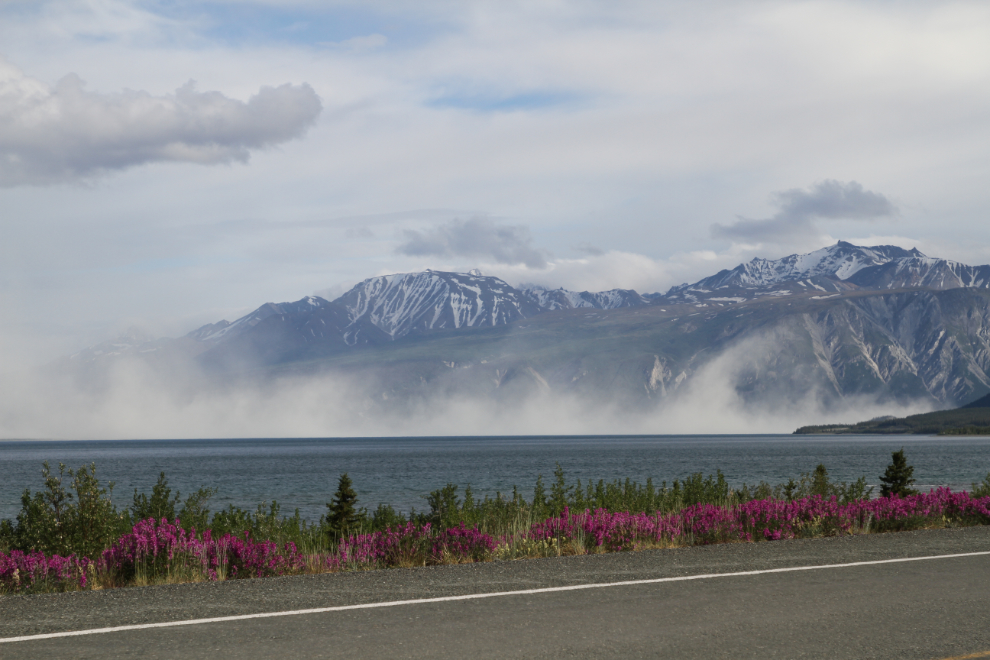 Dust storm on the Slims River flats at KLuane Lake