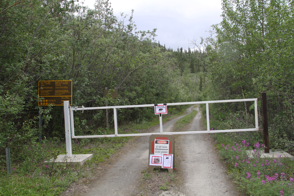 Slims River East trail - closed due to a problem grizzly
