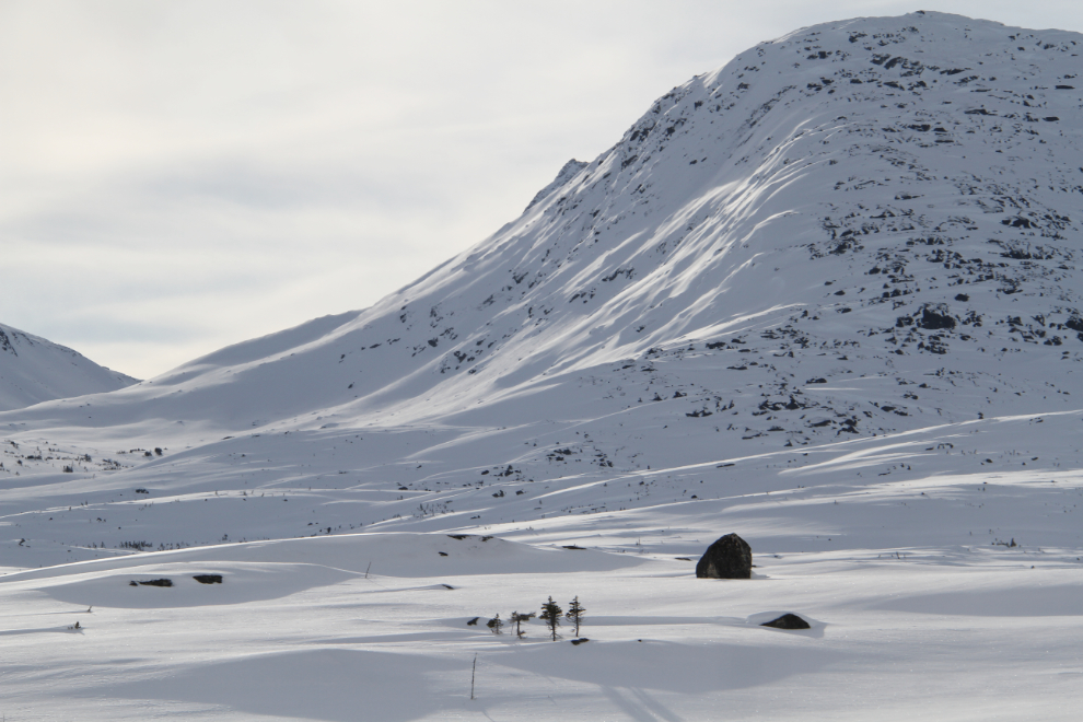 Nearing the White Pass summit.