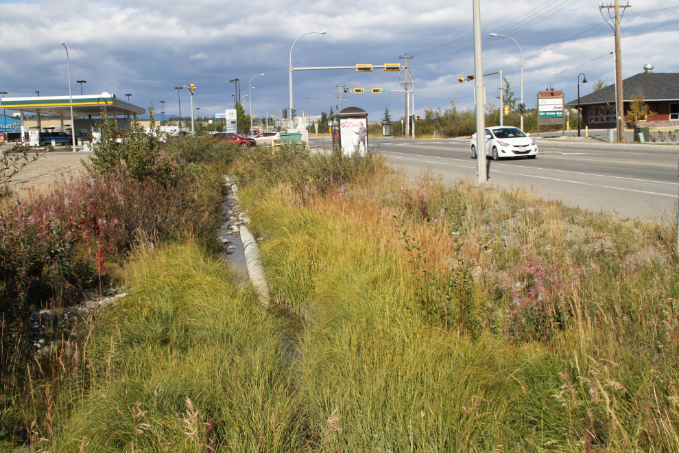 Spook Creek - Whitehorse, Yukon